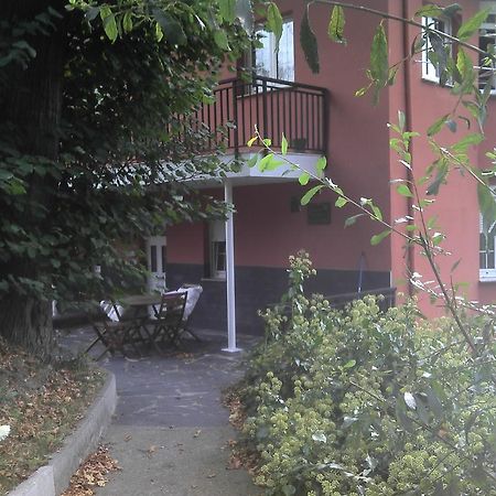 Apartamentos Los Balcones Tineo Εξωτερικό φωτογραφία